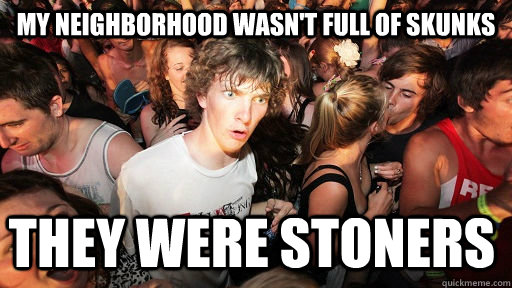 My neighborhood wasn't full of skunks They were stoners  Sudden Clarity Clarence