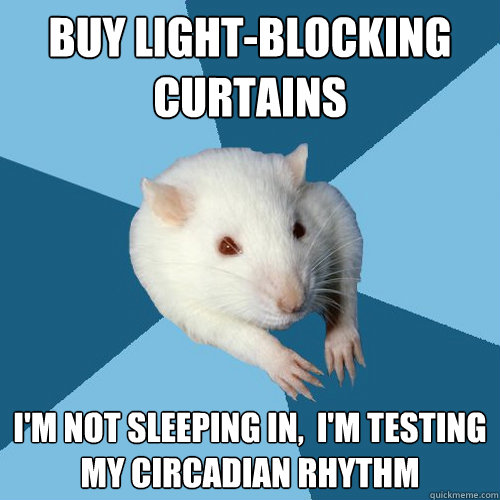 Buy light-blocking curtains I'm not sleeping in,  I'm testing my circadian rhythm  Psychology Major Rat