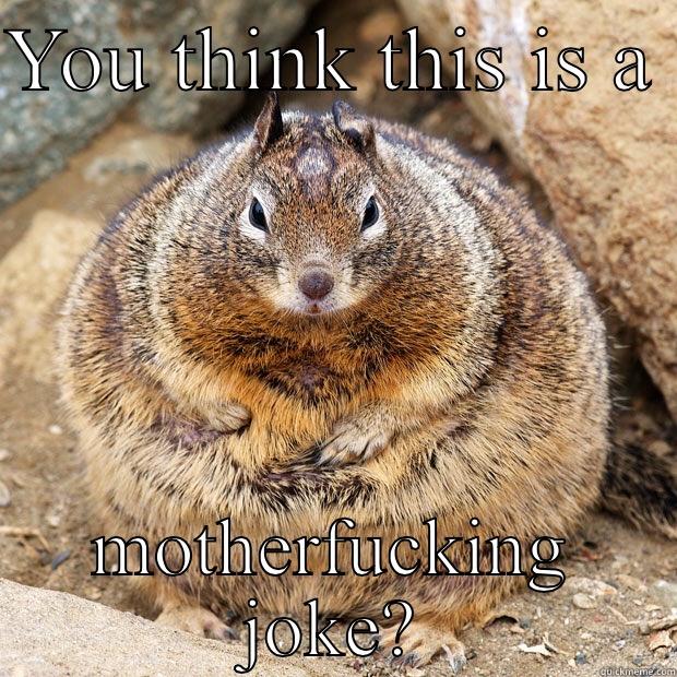 YOU THINK THIS IS A  MOTHERFUCKING JOKE? Misc