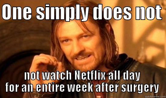 Shoulder surgery - ONE SIMPLY DOES NOT  NOT WATCH NETFLIX ALL DAY FOR AN ENTIRE WEEK AFTER SURGERY Boromir