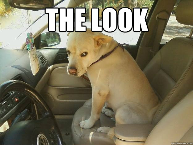 The Look  - The Look   The Dog Look