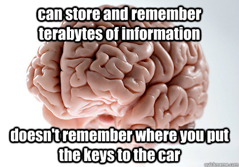 can store and remember terabytes of information doesn't remember where you put the keys to the car   Scumbag Brain