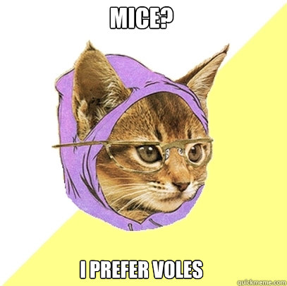 Mice? I prefer voles  Hipster Kitty