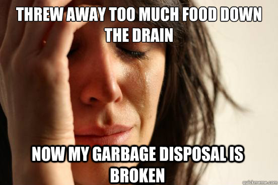 Threw away too much food down the drain Now my garbage disposal is broken  First World Problems