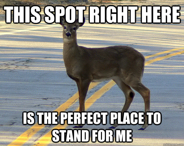 This spot right here is the perfect place to stand for me  - This spot right here is the perfect place to stand for me   scumbag deer