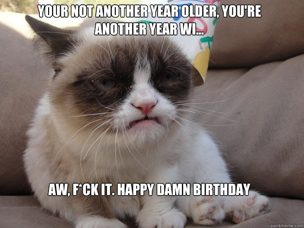 Your not another year older, you're another year wi...








Aw, f*ck it. Happy Damn Birthday  grumpy cat birthday