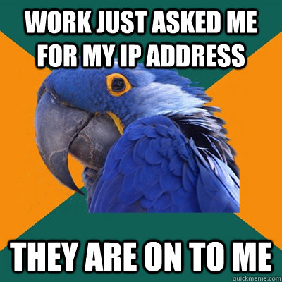 Work just asked me for my ip address  they are on to me  Paranoid Parrot