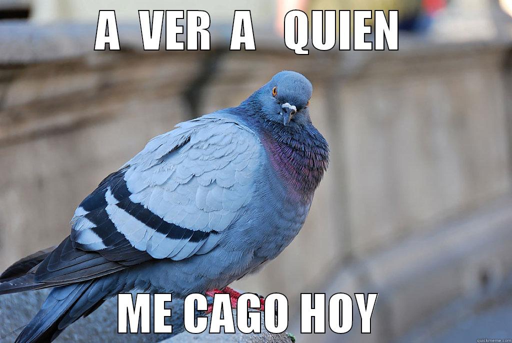 SHIT BIRD - A  VER  A   QUIEN  ME CAGO HOY  Misc