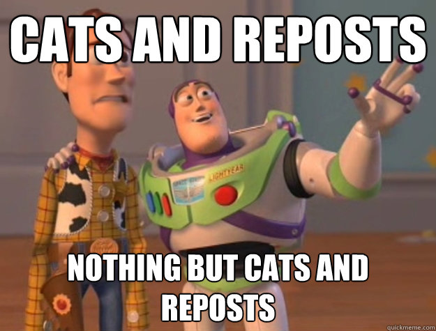 Cats and reposts nothing but cats and reposts  Buzz Lightyear