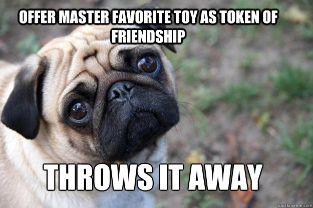 Offer master favorite toy as token of friendship Throws it away  First World Dog problems