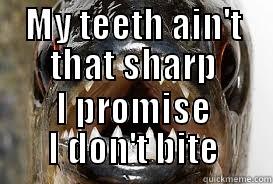 MY TEETH AIN'T THAT SHARP I PROMISE I DON'T BITE Misc