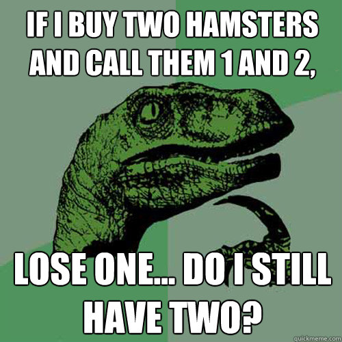 IF I BUY TWO HAMSTERS AND CALL THEM 1 AND 2, LOSE ONE... DO I STILL HAVE TWO?  Philosoraptor