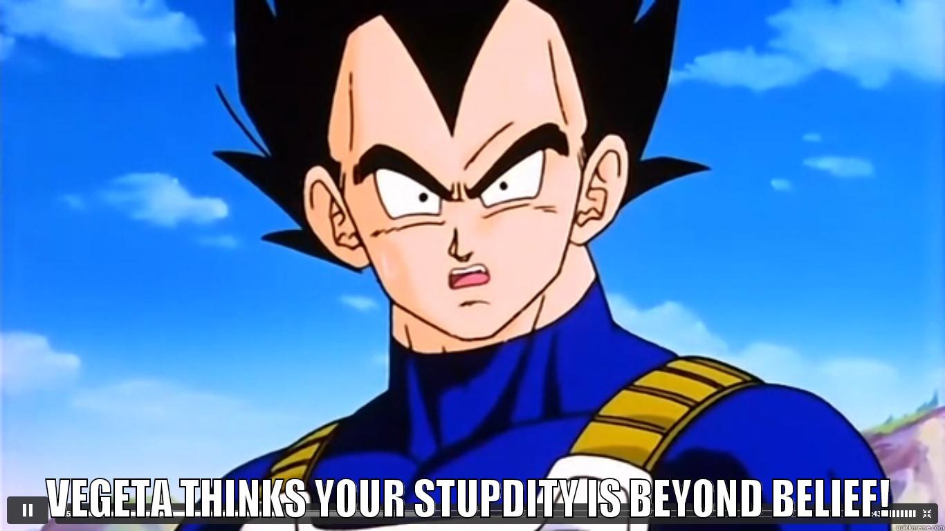 Vegeta Disapproval -  VEGETA THINKS YOUR STUPDITY IS BEYOND BELIEF! Misc