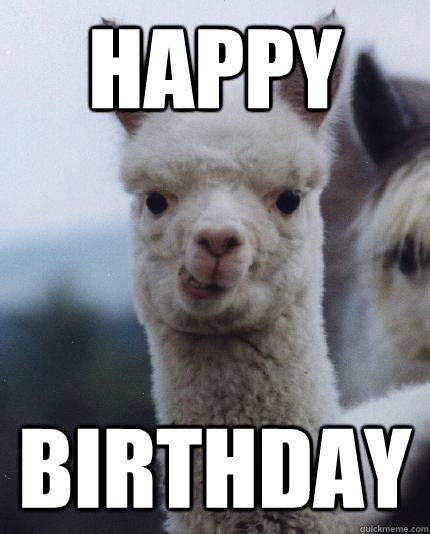 HAPPY  BIRTHDAY  ALPACA