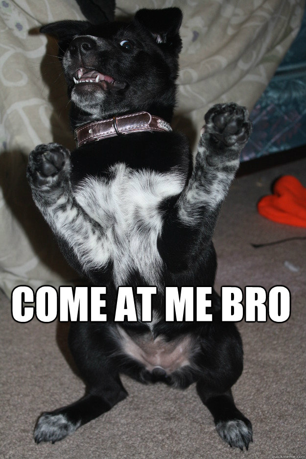 Come At Me Bro  Come at me bro