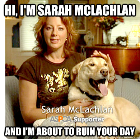 Hi, I'm Sarah McLachlan and I'm about to ruin your day - Hi, I'm Sarah McLachlan and I'm about to ruin your day  Misc