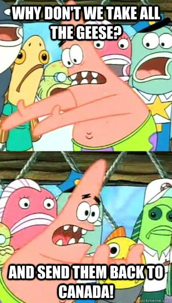 Why don't we take all the geese? and send them back to canada!  Push it somewhere else Patrick
