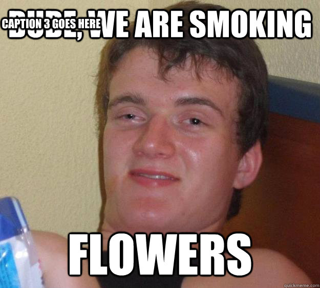 Dude, we are smoking flowers Caption 3 goes here  10 Guy