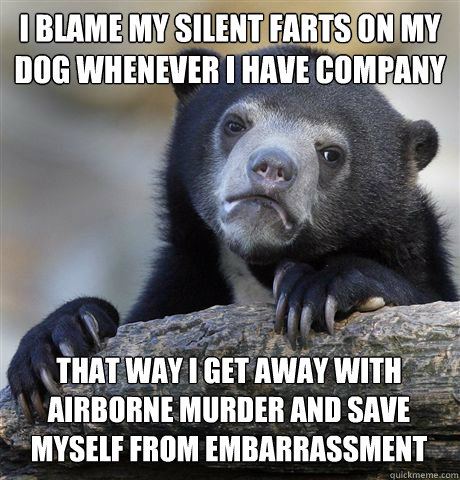 I BLAME MY SILENT FARTS ON MY DOG WHENEVER I HAVE COMPANY THAT WAY I GET AWAY WITH AIRBORNE MURDER AND SAVE MYSELF FROM EMBARRASSMENT - I BLAME MY SILENT FARTS ON MY DOG WHENEVER I HAVE COMPANY THAT WAY I GET AWAY WITH AIRBORNE MURDER AND SAVE MYSELF FROM EMBARRASSMENT  Confession Bear