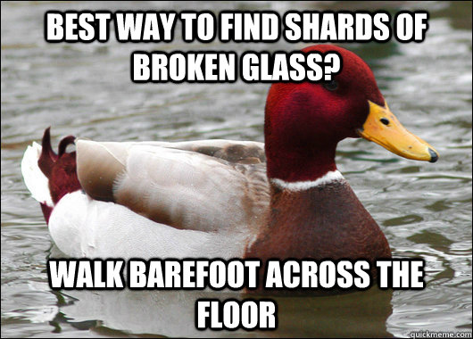 Best way to find shards of broken glass? Walk barefoot across the floor  Malicious Advice Mallard