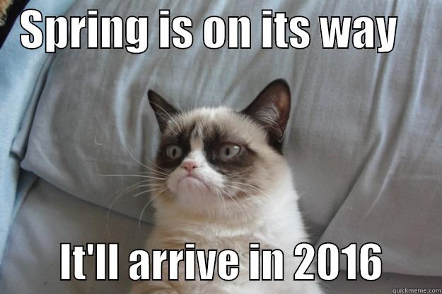 Seasons come, and seasons go -   SPRING IS ON ITS WAY              IT'LL ARRIVE IN 2016       Grumpy Cat