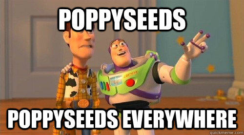 Poppyseeds Poppyseeds everywhere  Buzz Kill