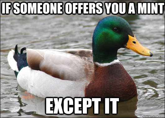 if someone offers you a mint  except it  Actual Advice Mallard