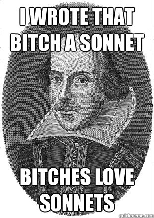 i wrote that bitch a sonnet  bitches love sonnets - i wrote that bitch a sonnet  bitches love sonnets  BillyShakes-Sonnets