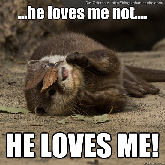 ...he loves me not.... HE LOVES ME!  otter love