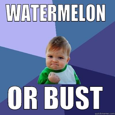 WATERMELON OR BUST Success Kid