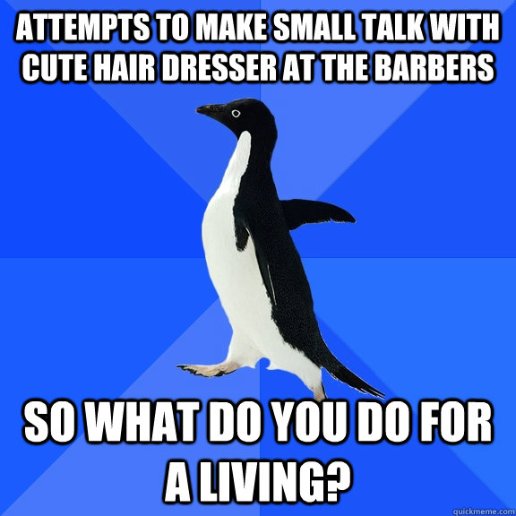 Attempts to make small talk with cute hair dresser at the barbers So what do you do for a living?  Socially Awkward Penguin