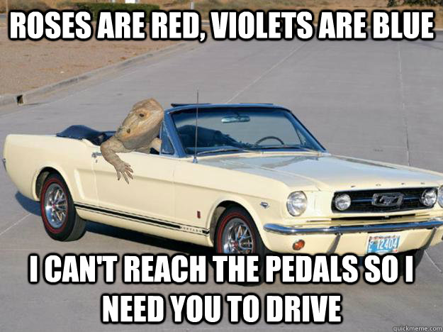 Roses are red, Violets are blue I can't reach the pedals so I need you to drive  Pickup Dragon