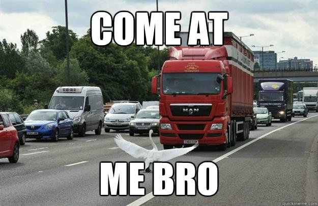 COME AT  ME BRO  Come at me bro