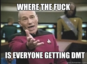 where the fuck is everyone getting dmt  Annoyed Picard