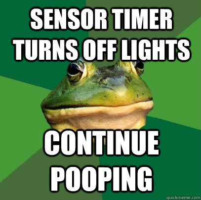 Sensor Timer turns off lights continue pooping   Foul Bachelor Frog