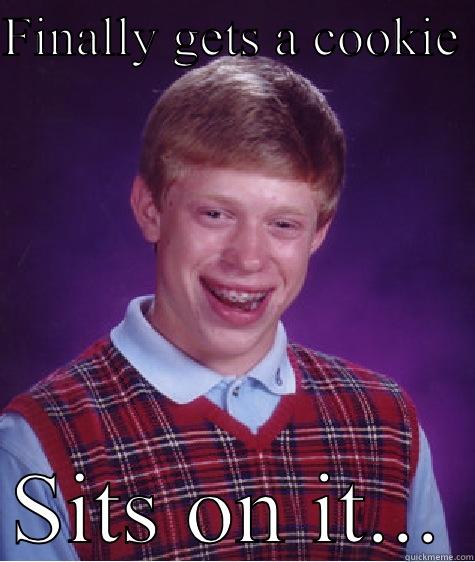 Bad luck Katie - FINALLY GETS A COOKIE  SITS ON IT... Bad Luck Brian