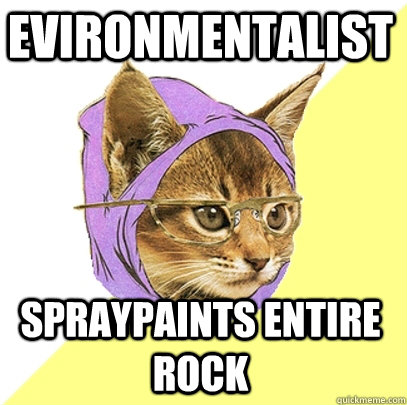 Evironmentalist Spraypaints entire rock  Hipster Kitty