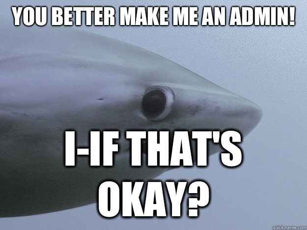 You better make me an admin! I-if that's okay?  Shy Shark