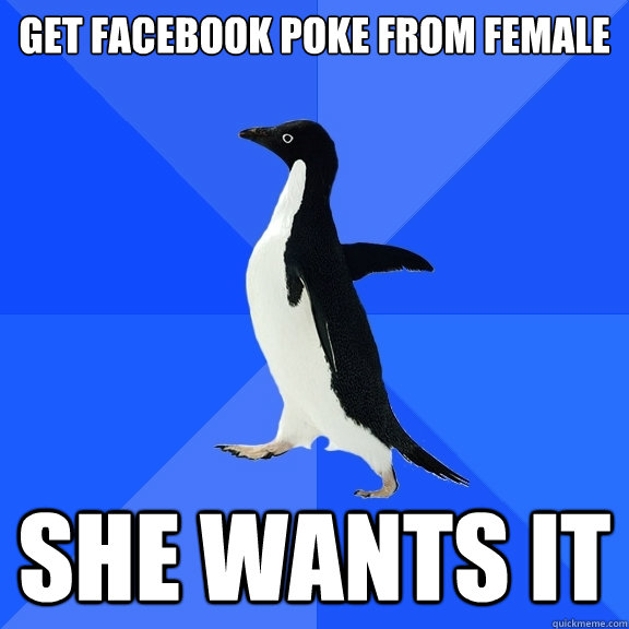 Get facebook poke from female she wants it  Socially Awkward Penguin