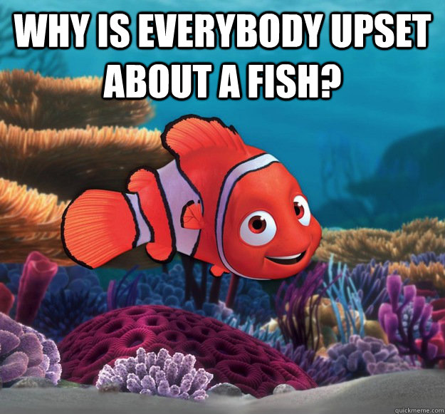 Why is everybody upset about a fish?   