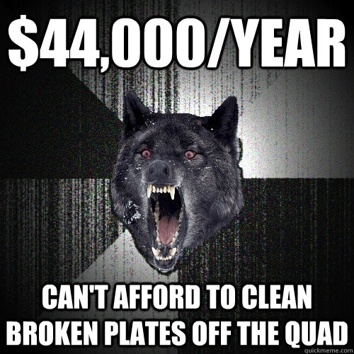 $44,000/year Can't afford to clean broken plates off the quad  Insanity Wolf
