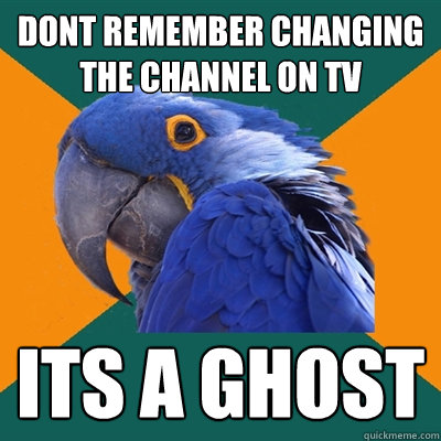 dont remember changing the channel on tv its a ghost  Paranoid Parrot