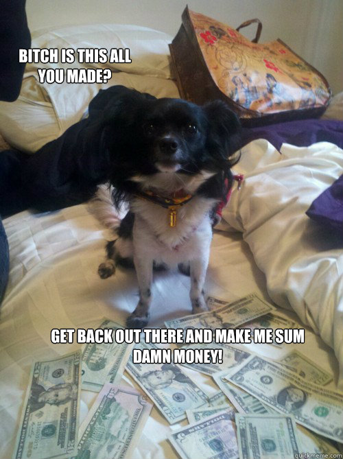get back out there and make me sum damn money! Bitch is this all you made?  cute animal dog money meme
