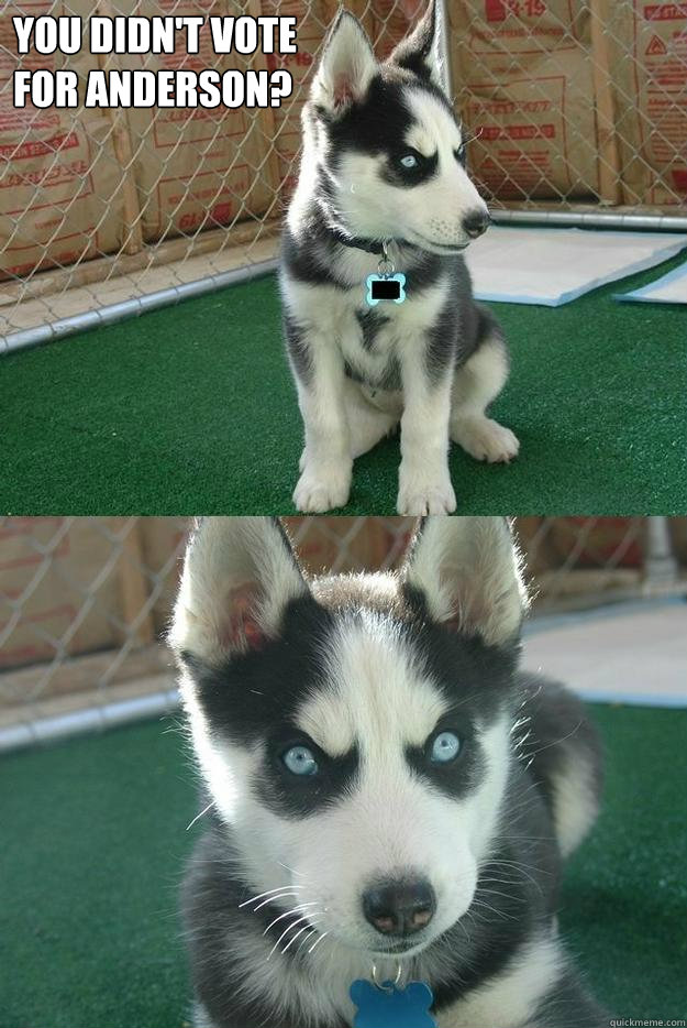 YOU DIDN'T VOTE
FOR ANDERSON?   Insanity puppy