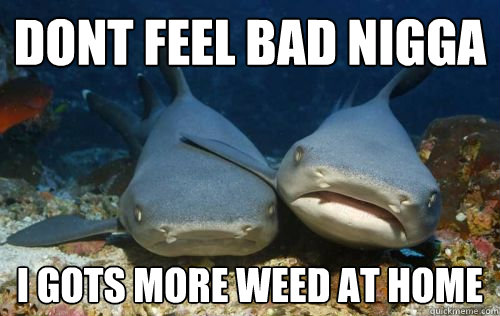 dont feel bad nigga i gots more weed at home  Compassionate Shark Friend