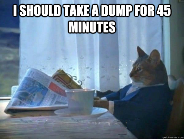 I should take a dump for 45 minutes   morning realization newspaper cat meme