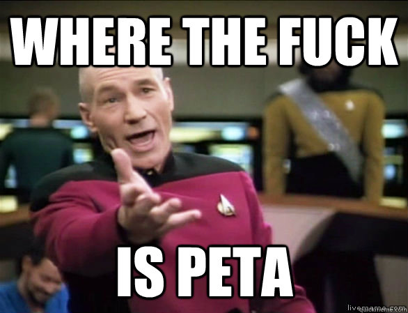 where the fuck is peta  Annoyed Picard HD