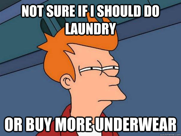 Not sure if i should do laundry Or buy more underwear  Futurama Fry