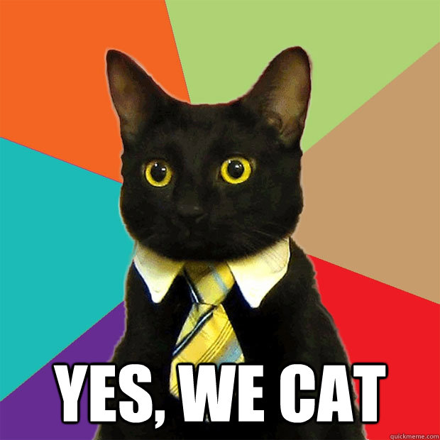  Yes, we cat -  Yes, we cat  Business Cat