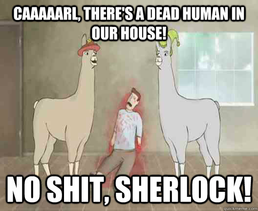 Caaaaarl, there's a dead human in our house! no shit, sherlock!  